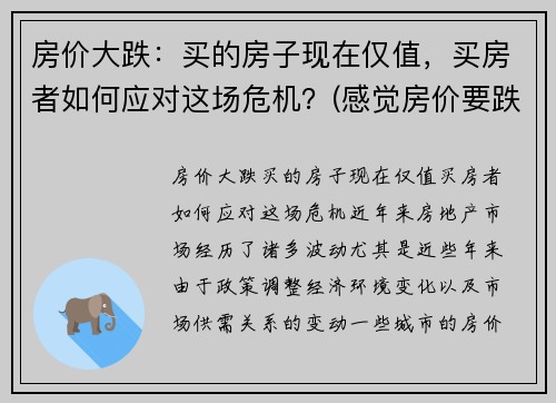 房价大跌：买的房子现在仅值，买房者如何应对这场危机？(感觉房价要跌)