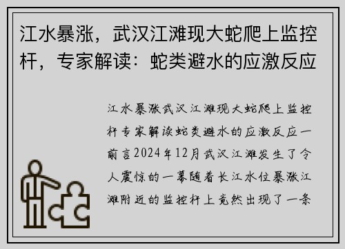 江水暴涨，武汉江滩现大蛇爬上监控杆，专家解读：蛇类避水的应激反应