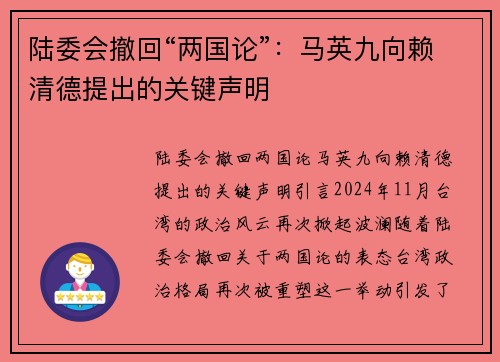 陆委会撤回“两国论”：马英九向赖清德提出的关键声明